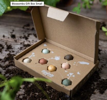 Blossombs giftbox small - Afbeelding 5