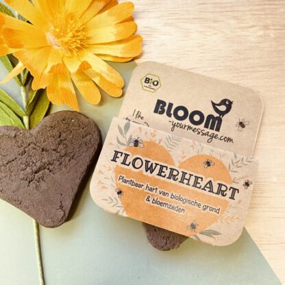 BLOOM flower heart