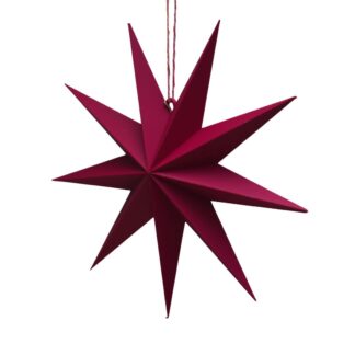 Kerstster 3D geprint plum