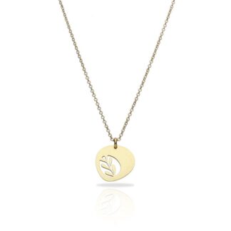 Ras Espiga collier verguld